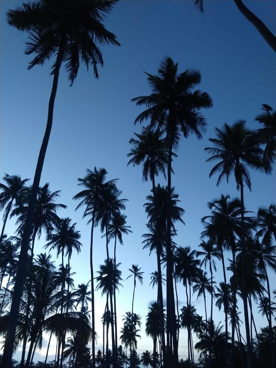 Hotel D'Anatureza Maceió Εξωτερικό φωτογραφία